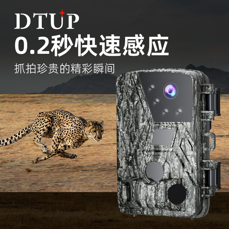 DTUP-800-x2